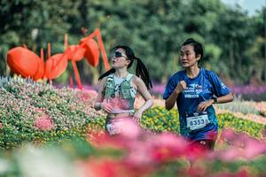 BIB: 
                            <button type="button" onclick="openModal(25934607)" class="btn btn-primary btn-sm float-right btn-popup" data-toggle="modal" data-target=".modal-high-quality">
                        <i class="fas fa-shopping-cart"></i> Add to Cart
                    </button>
                                            <button type="button" onclick="isThisMe(25934607, true)" class="btn btn-success btn-sm float-right btn-popup btn-isme hidden" data-toggle="tooltip" data-placement="bottom" title="นี่คือรูปของคุณใช่ไหม คลิกที่นี่เพื่อเอาเข้าอัลบั้ม">
                        <i class="fas fa-plus"></i> Add to album
                    </button>
                    <button type="button" onclick="isThisMe(25934607, false)" class="btn btn-warning btn-sm float-right btn-popup btn-isnotme hidden">
                        <i class="fas fa-ban"></i> Remove from album
                    </button>